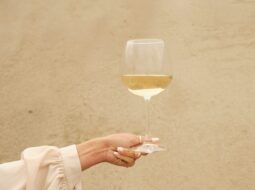 Savoring the Moment A Journey Through the Sensory Art of Wine Tasting